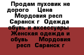 Продам пуховик не дорого  › Цена ­ 6 000 - Мордовия респ., Саранск г. Одежда, обувь и аксессуары » Женская одежда и обувь   . Мордовия респ.,Саранск г.